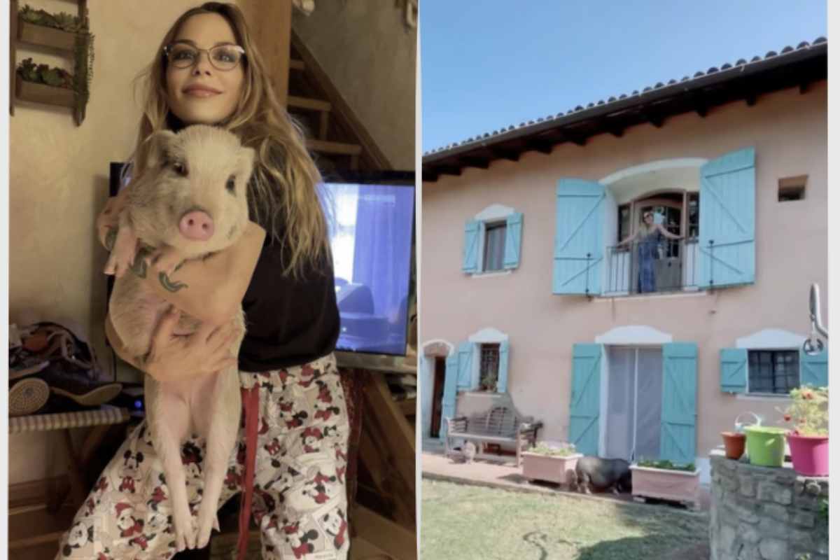 La casa non è solo dimora ma anche rifugio per una piccola “tribù” di animali: cani, gatti e persino maialini che condividono con la famiglia la quotidianità